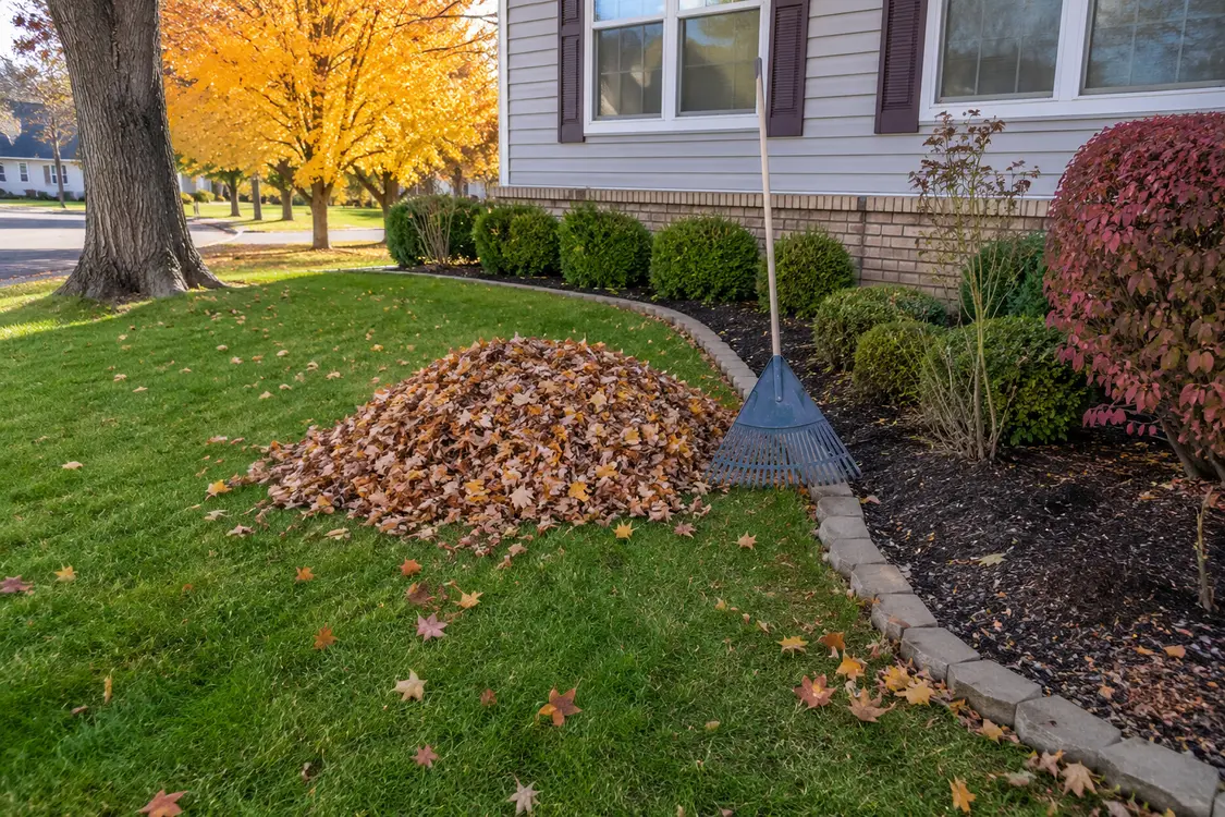 Fall leaves gathered into a neat pile beside a residential planting bed